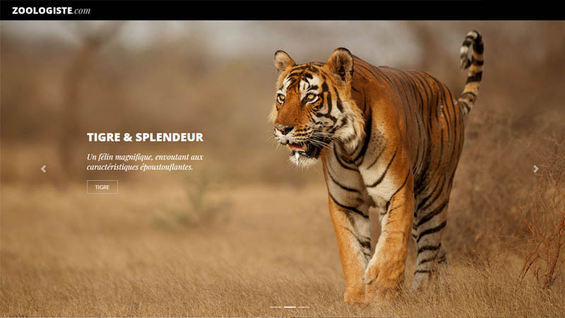 Aperçu du service Zoologiste.com