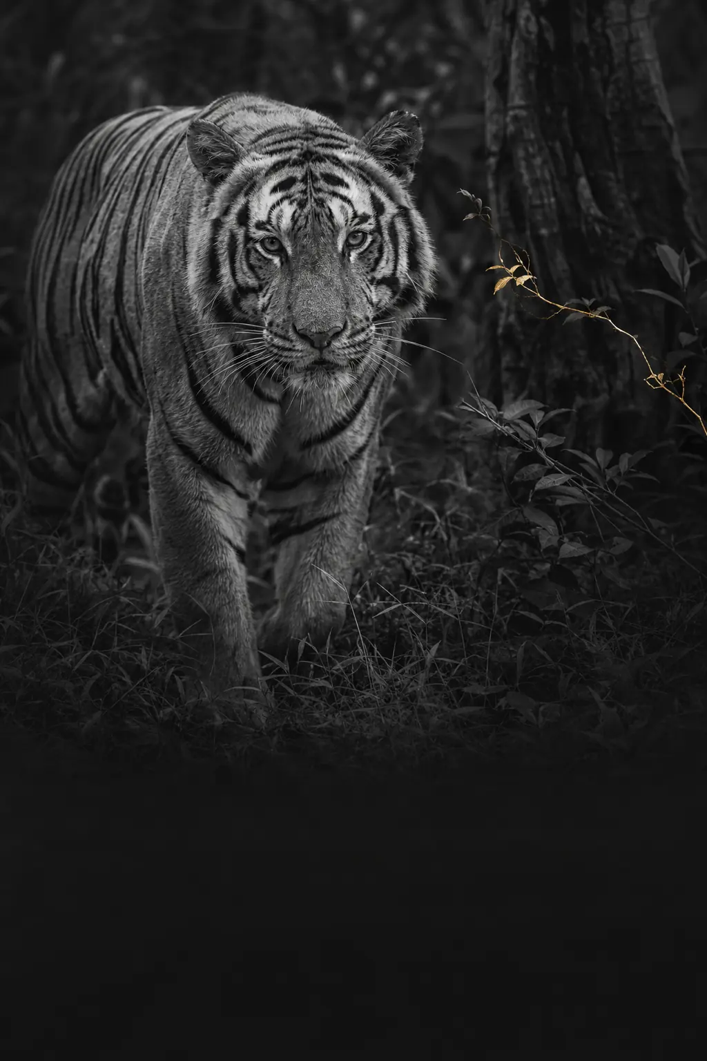 Univers éditorial de Zoologiste.com au sein du pôle Culture générale